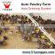 automatic poultry drinking for chicken poultry equipment price for chicken farm