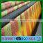 Green Scaffolding Debris Nettings