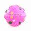 Evade glue pet ball with sunshine picture on size 7cm