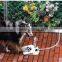 Novel pet supplies pet automatic drinking water dog pedal water machine dog water heater