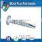 Made In Taiwan High Quality Stainless Steel Pan Head Phillips Recess Self Drilling Screw ZInc