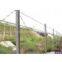 Barbed Iron Wire