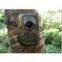 Primos Hunting Truth Cam Blackout Game Trail Camera KO-HC01