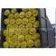supply the rubber plastic products