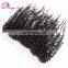 Brazilian bulk hair extensions without weft lace closure with baby hair