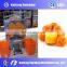 Easy Operation Factory Directly Supply orange juicing machine citrus juice squeezer machine with CE