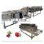 Automatic Fruit Peach Olive Washer Chili Vegetable Washing Machine