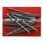 professional steel bulk wire nails common