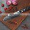 Multifunctional VG10 AUS10 japanese steel Damascus santoku knife