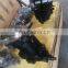 Trade Assurance Danfoss SAUER 51V060 51V080 51V110 51V160 51V250 Series 51V250 RC8N Hydraulic Piston Pump