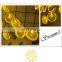 decorative Led waterproof holiday curtain strip summer lemon Lights garden home indoor outdoor decoration fairy light
