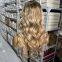 13x6 Luxury Highlight Human Hair Lace Wig with Wholesale Price