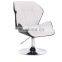 Modern Salon Chair Leather Swan Chair For Beauty Hair