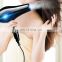 Wholesale Blower Salon AC Motor High Speed Professional Hair Dryer Blow Dryer Hair With Ionic