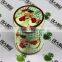 Santa Claus Christmas holiday gift household items coin storage new year gift tin tea box