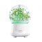 Hot Sale Preserved Fresh Flower Design  Ultrasonic Aroma Diffuser Humidifier with Seven Color Night Light