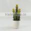 Best selling high simulation medium size green artificial succulent /cactus with melamine pot
