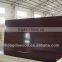 Cheap price black film faced plywood linyi factory