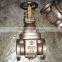 JIS F7363C 5K Marine Cast steel Gate Valve