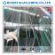canopy laminated safety clear glass with CE ISO9001 ANSI certificated