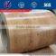 Prepainted Galvanized Steel Coil/PPGI/Colored Steel Coil