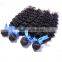 Razilian human virgin hairpiece manufacturer water wave wholesale