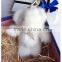 Wholesale handmade mink fur gift cute rabbit keyrings bag charming