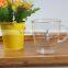 Coffee,Tea,Milk,Beverage Drinking Clear Cute Pattern Heat Resistant Pyrex Glass Tea Cup With Handle
