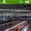 chicken wire mesh cage/farm chicken cage/chicken rearing cage
