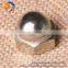 China Supplier Supply Hex Dome Cap Nuts/Decorative Cap Nut
