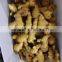 Chinese Fresh Ginger