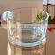 Wholesale 24oz glass flower vase flower container