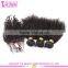 8A grade top quality kinky curly real mink brazilian hair virgin hair bundles with lace closure