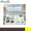 12 kinds of mineral specimens stone Packed Set