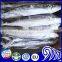 Land Frozen Spanish Mackerel for Sale