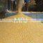 Best quality Yellow Corn maize for animal feed at cheap prices