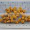Freeze Dried Apricot Dice