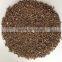 BRANCH CASSIA/CINNAMON