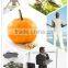 Manufacture high quality Pumpkin Seed Oil lower blood lipid