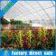 Plastic high quality agriculture anti insect net greenhouse  china