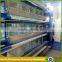 Zhongzhou professional design automatic chicken breeding cage for day old chick