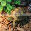 Nomo non-toxic super simulation high quality cute land tortoise model