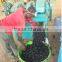New technology and high efficiency charcoal briquette making machine