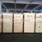 Bluestone Pressure Steam Sterilization Equipments Type Medical Autoclave