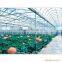 100% virgin Bayer,sun sheet & polycarbonate force structure multi-wall sheet 10 years quality