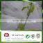 100% pp spunbond non woven banana bag, tree cover, plant cover