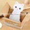 Promotional Creative Lovely Cat Adhesive Sticky Notes Memo Pad