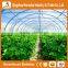 Heracles trade saaurance greenhouse plastic cover -uv treated plastic film for greenhouse agricultural