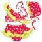 New stye three-piece swimsuit baby swimwear/wholesale swimwear/lycra fabric for swimwear