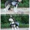 BG04 Redhill 2017 hot sale excursion dog backpack carrier,saddle bags,backpack for dog